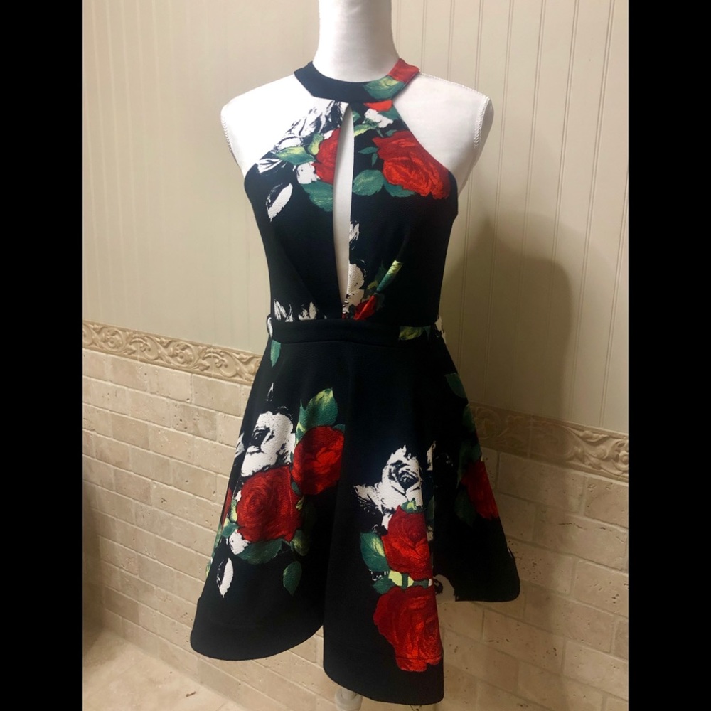 Paper Doll Black Floral Print Sleeveless Dress